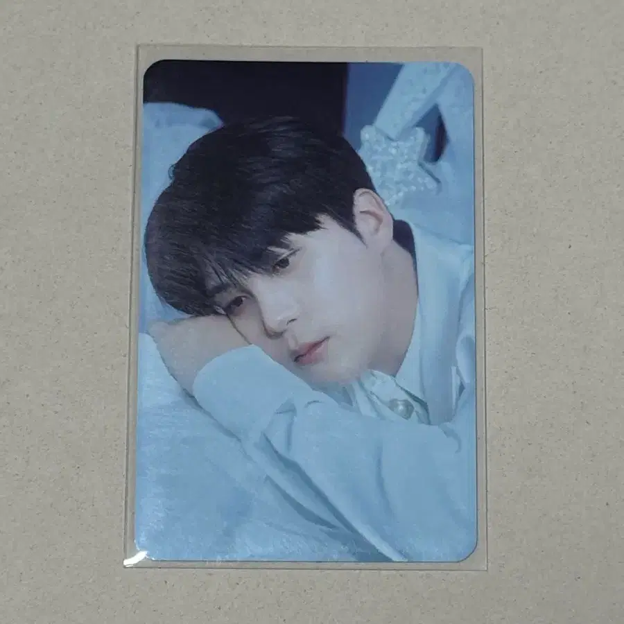 에이티즈 애니티즈 팝업 종호 트레카 양도