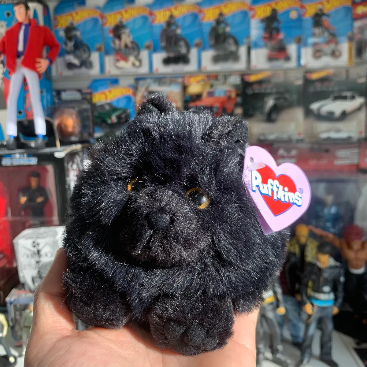 Puffkins 퍼프킨스 고양이