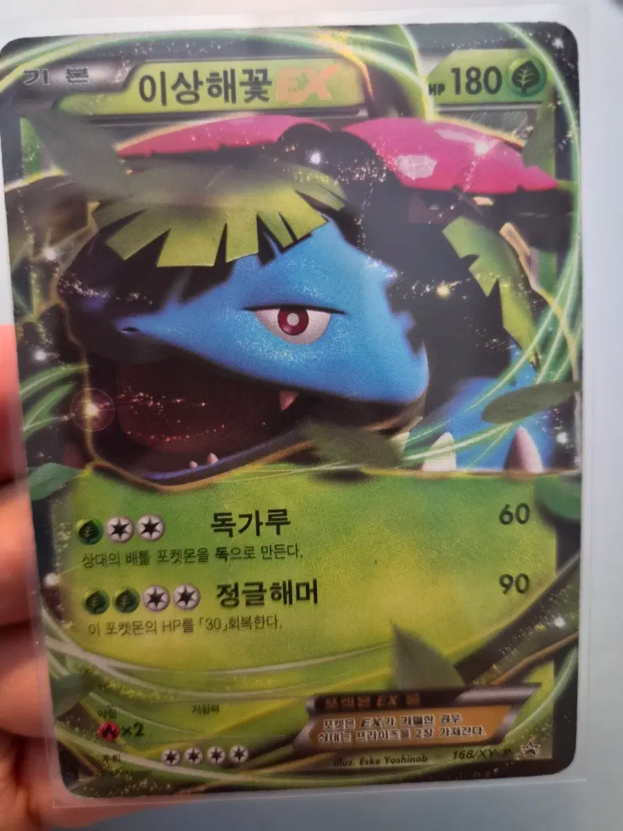 포켓몬카드 이상해꽃 xy EX 프로모