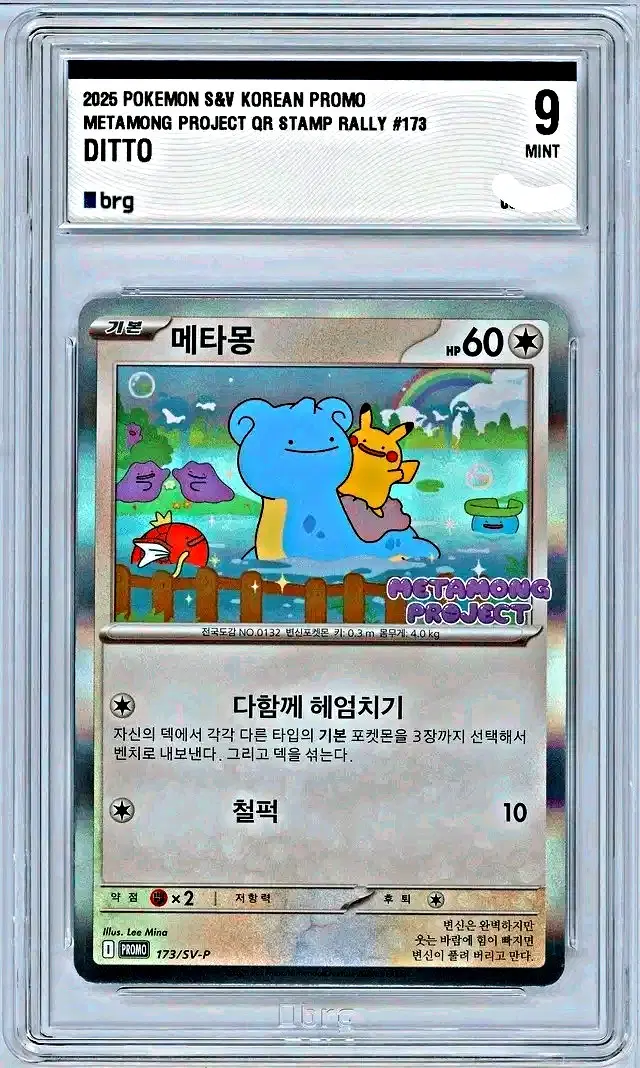 포켓몬 메타몽 프로모 카드