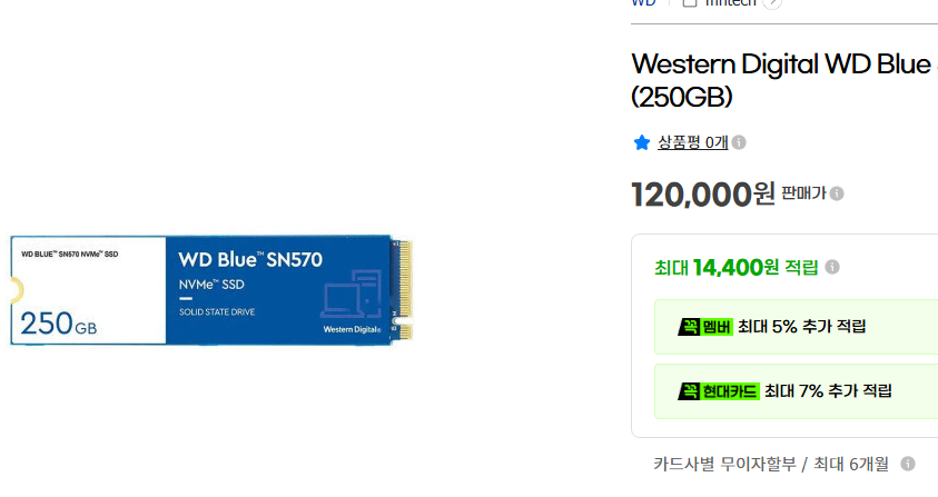 [무료배송] 초고속 3300MB/s Western Digital WD BLUE SN570 NVMe 250GB SSD 판매
