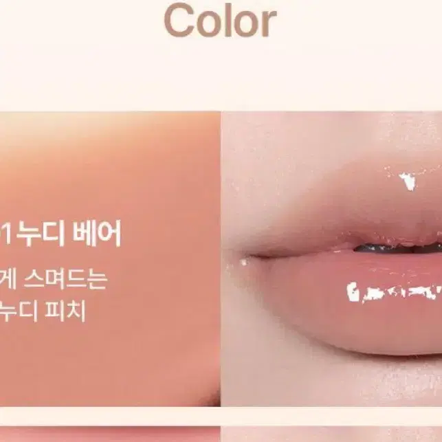 투쿨포스쿨립틴트1호누디베어