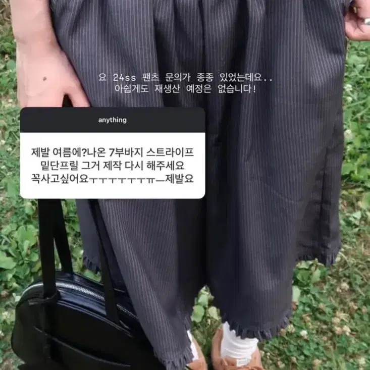 아모르샤이 스트라이프 7부 프릴팬츠