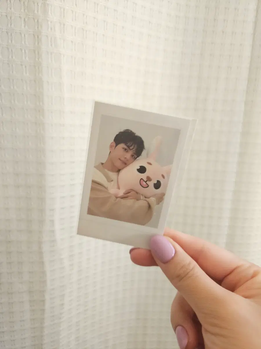자이언트 필끼 포카 원필 포카 (미개봉)