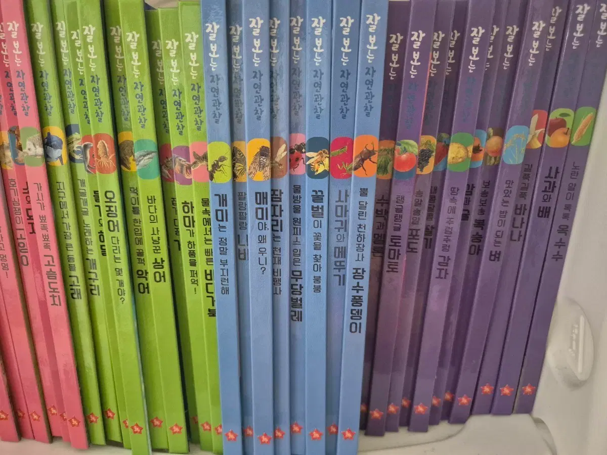 자연관찰