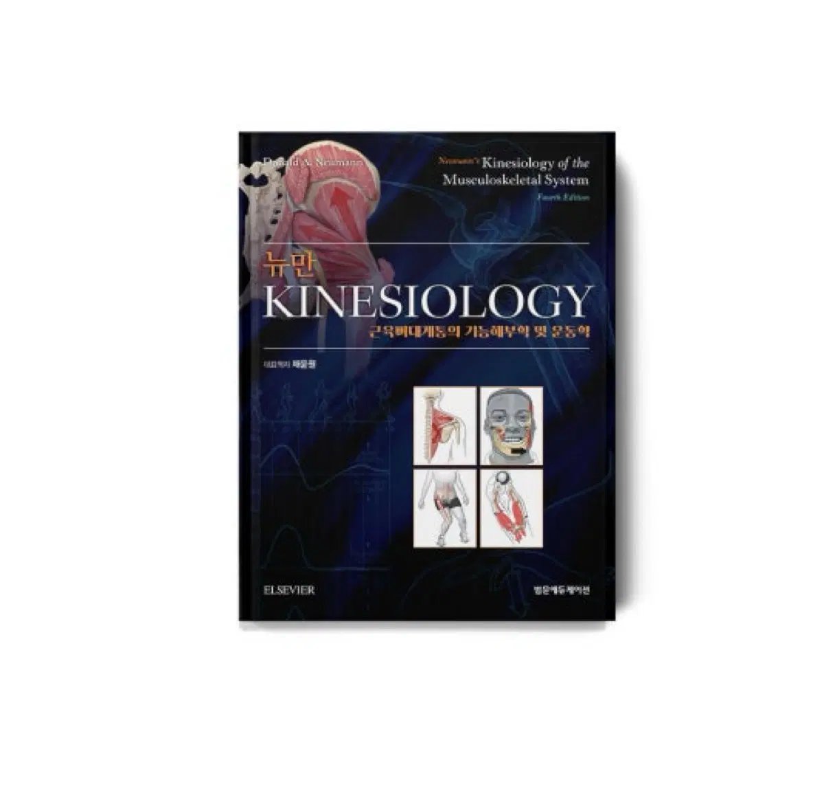 뉴만 kinesiology 4판 pdf 구합니다!!