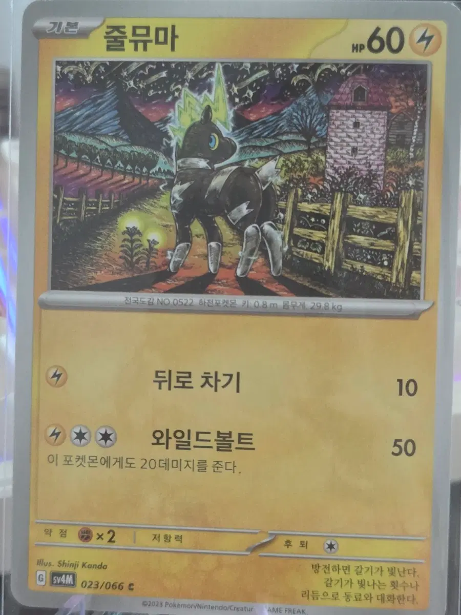 포켓몬카드 줄뮤마 신지 칸다