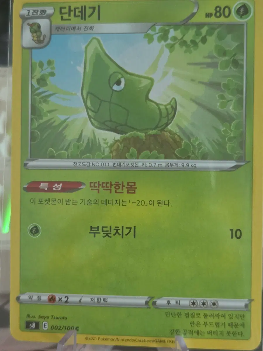 포켓몬카드 단데기