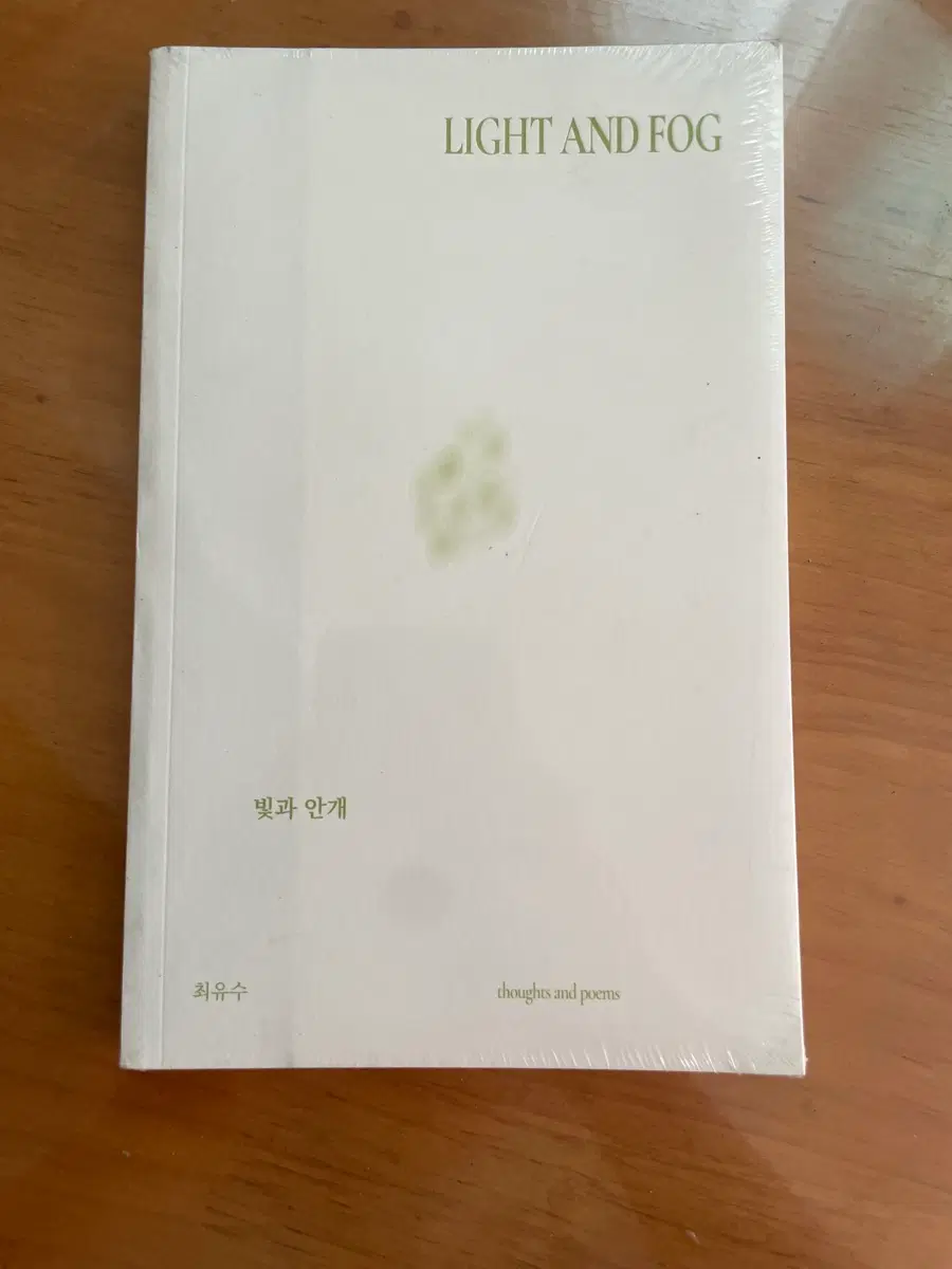 최유수 책 빛과 안개