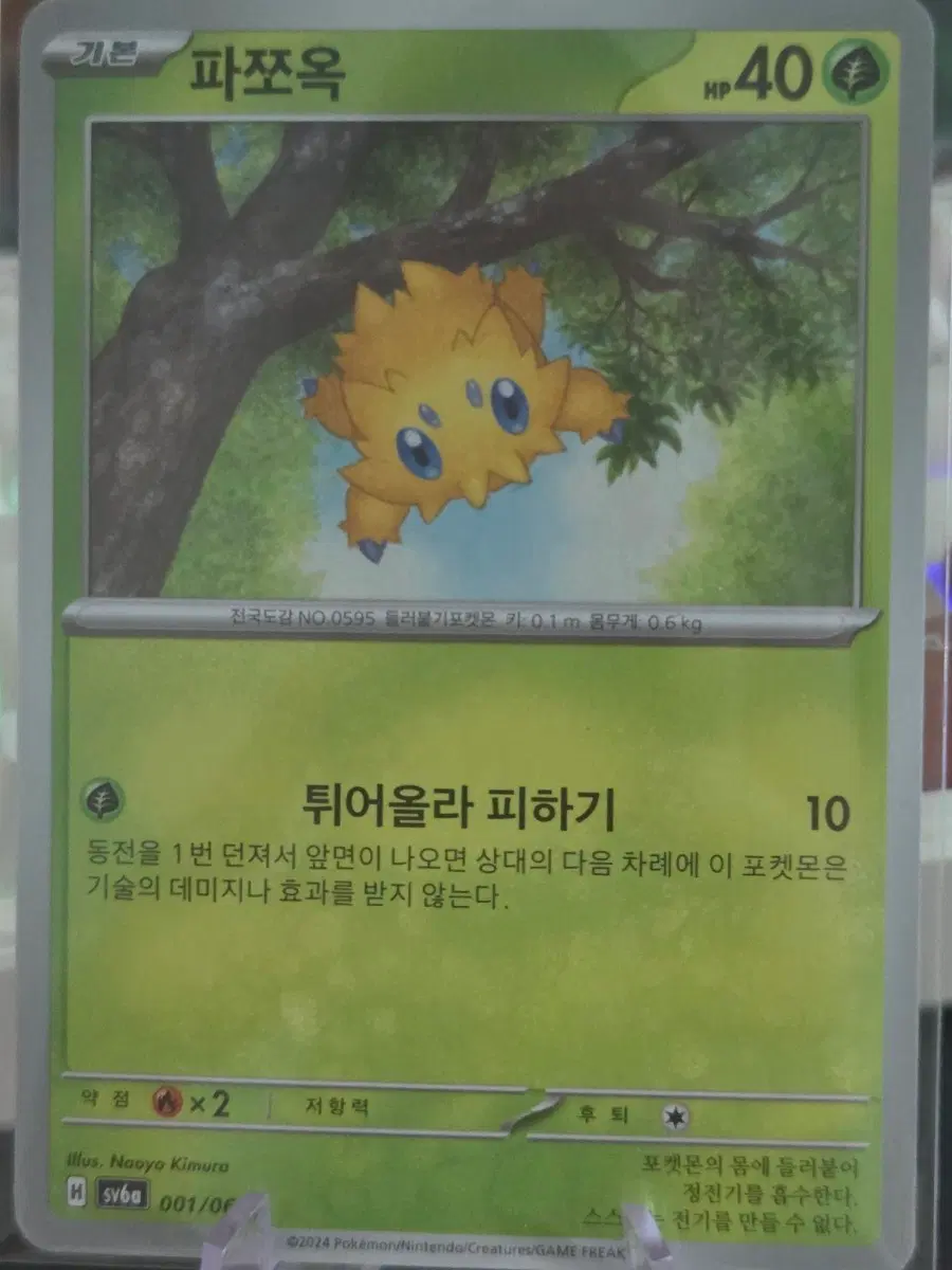 포켓몬카드 파쪼옥