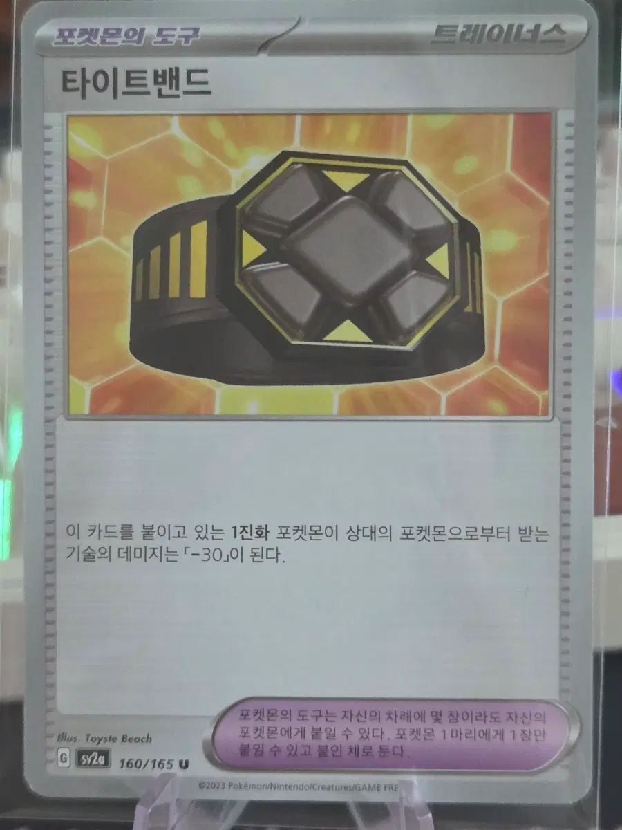 포켓몬카드 타이트밴드