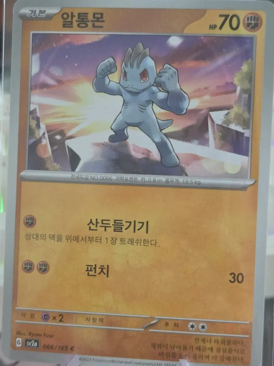 포켓몬카드 알통몬