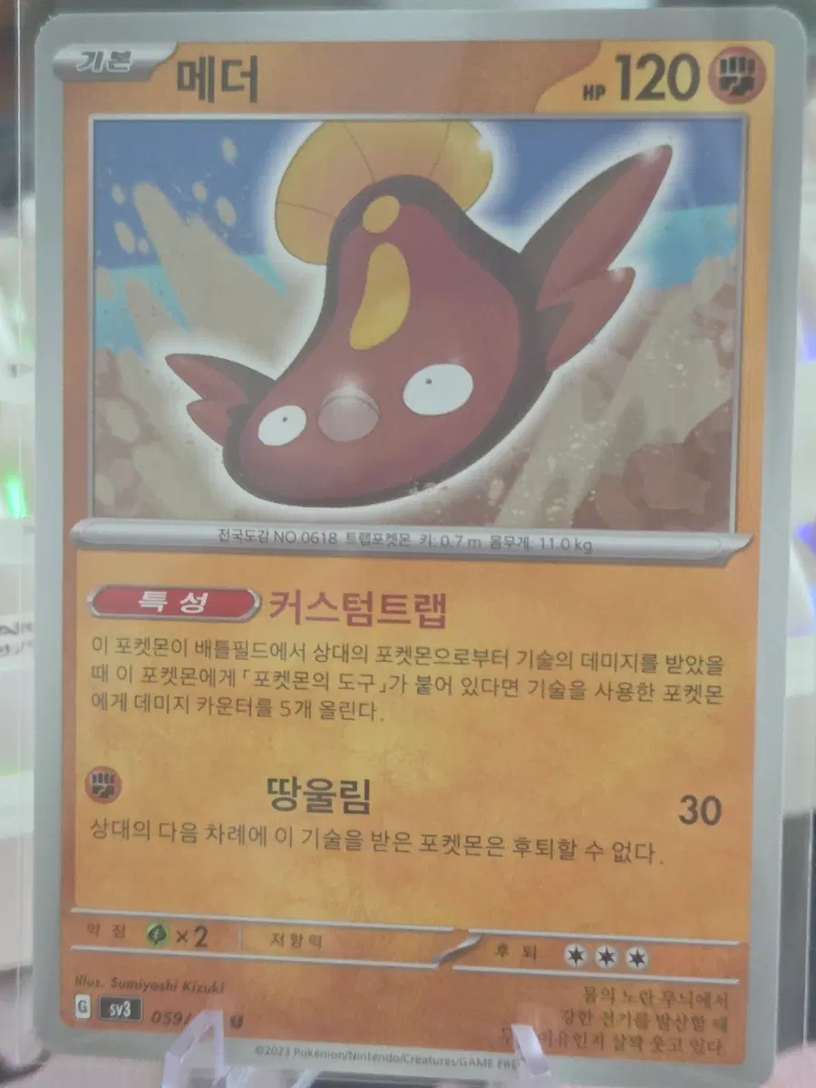 포켓몬카드 메더