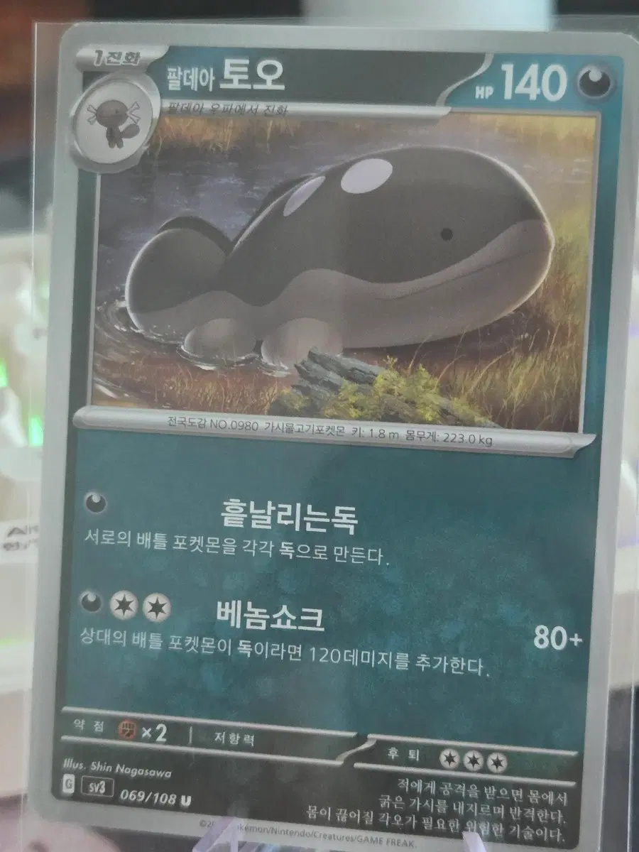포켓몬카드 팔데아 토오