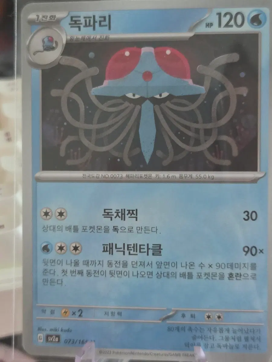 포켓몬카드 독파리