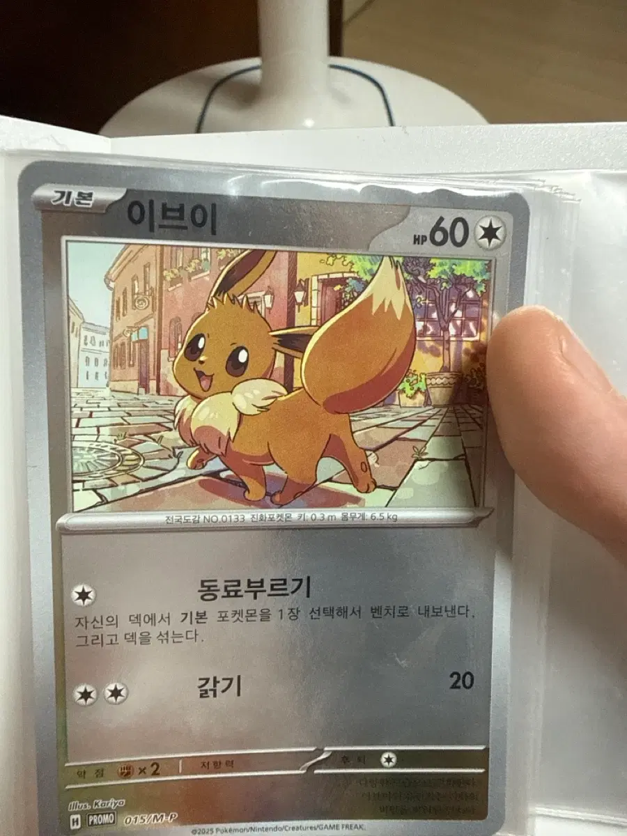 이브이 프로모카드 (개봉) +카드 보관함