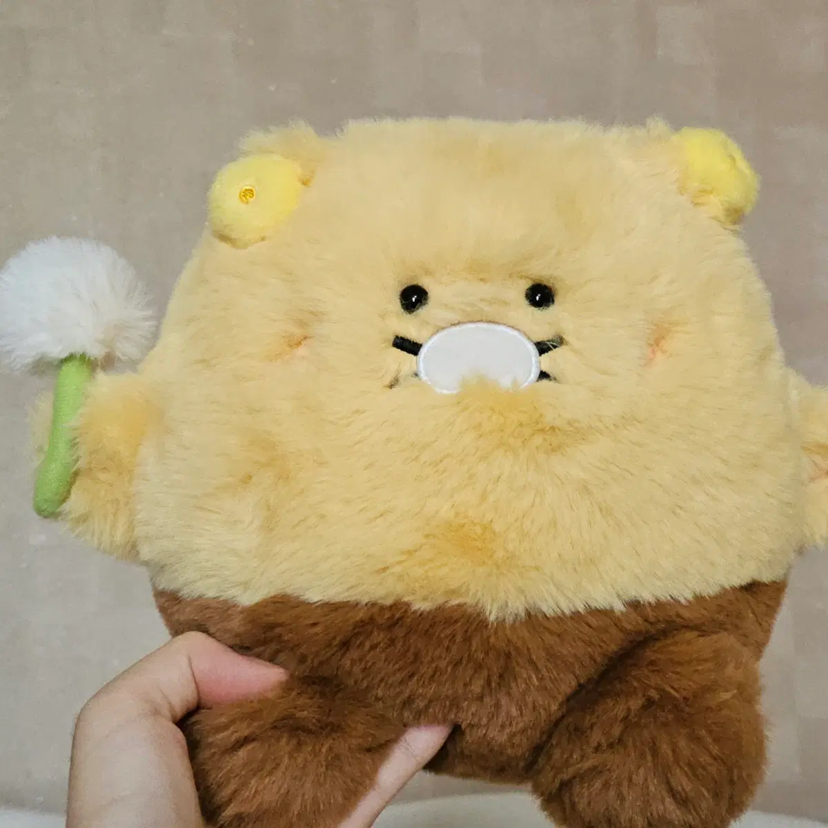 털찐 춘식이 카카오프렌즈 춘식