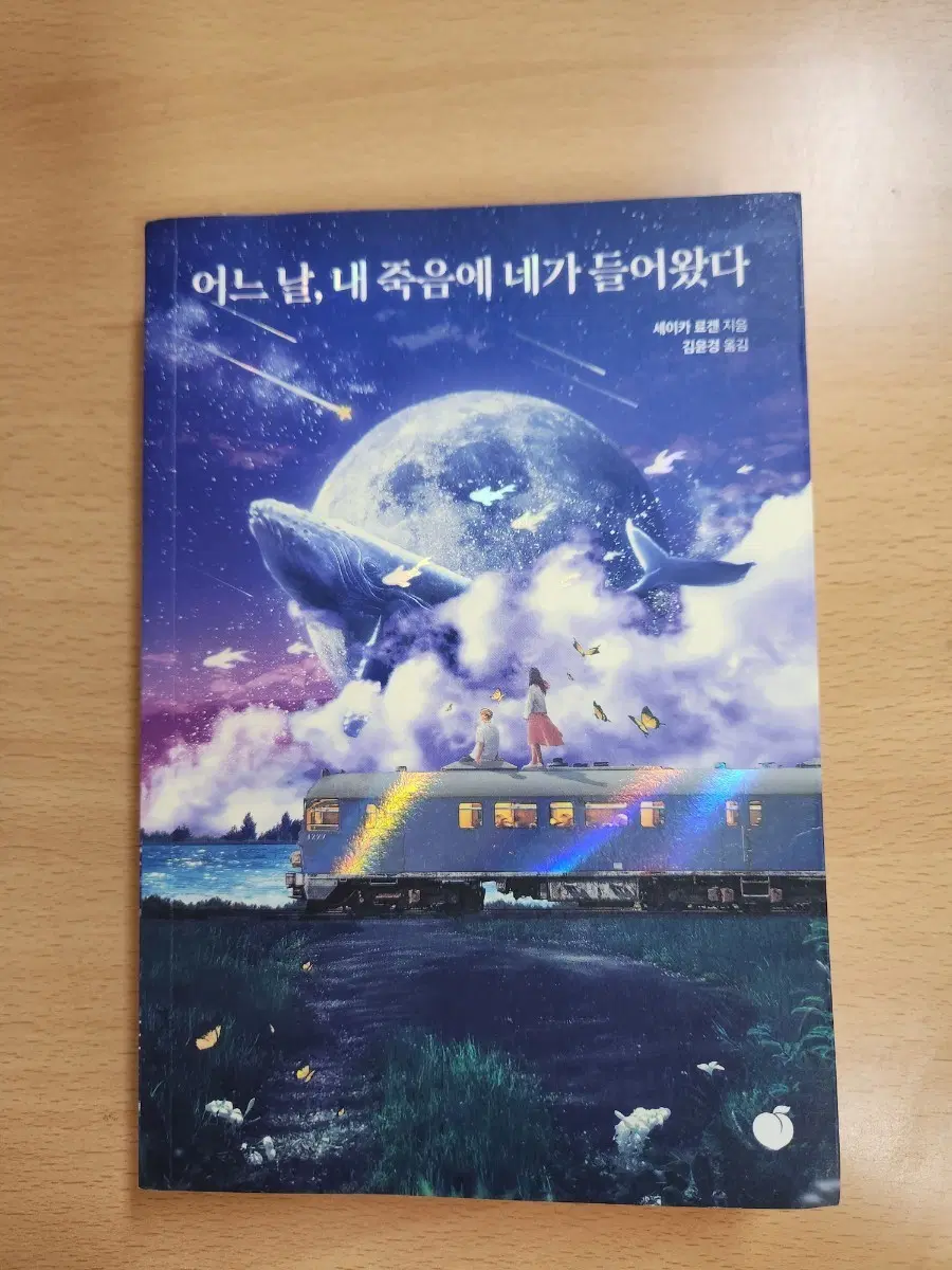 어느 날, 내 죽음에 네가 들어왔다 소설책