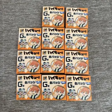 하이큐!! 구스마 복권 G상 캔뱃지 x 11