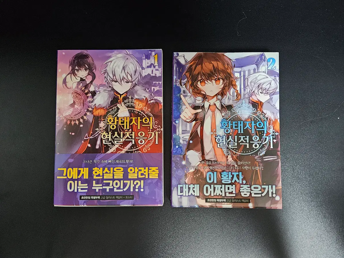 라노벨 황태자의 현실 적응기 1, 2권