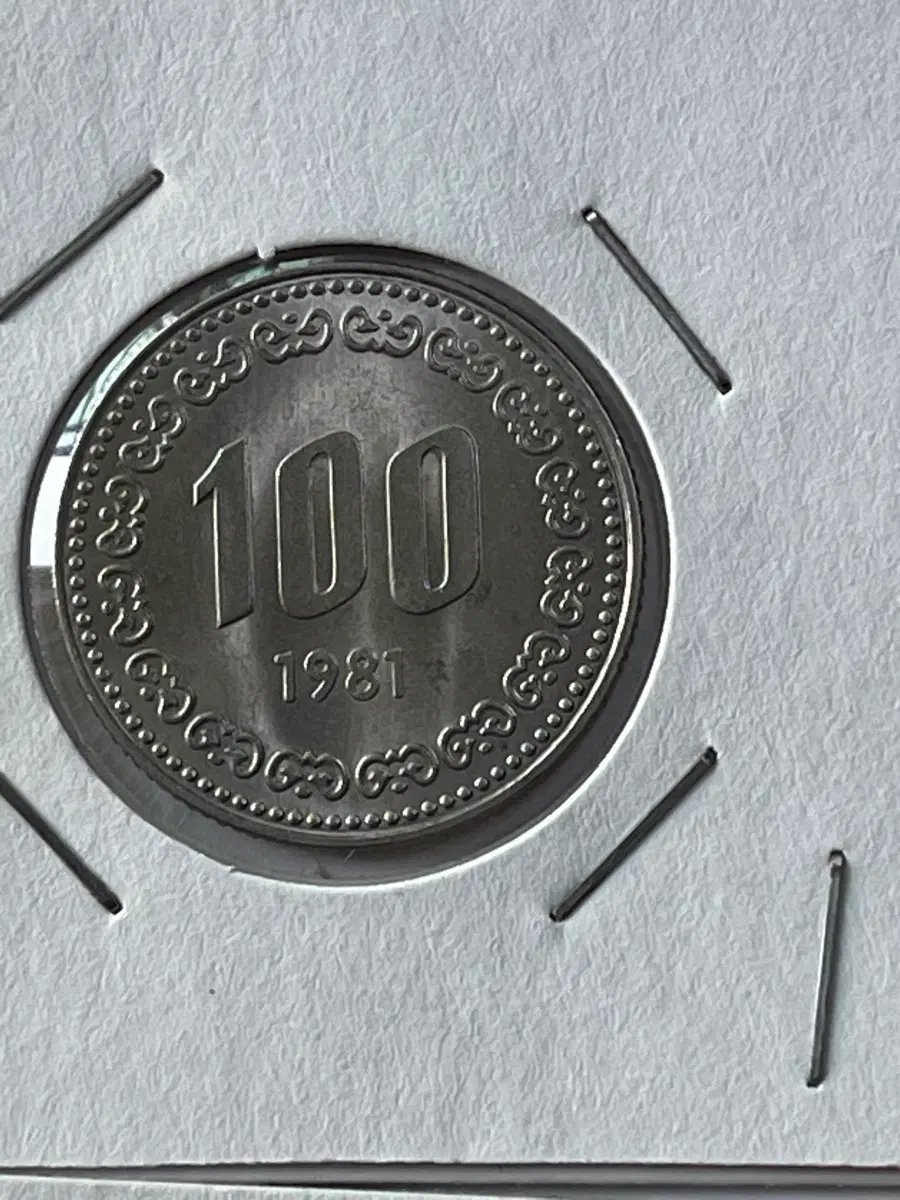 81년 100원