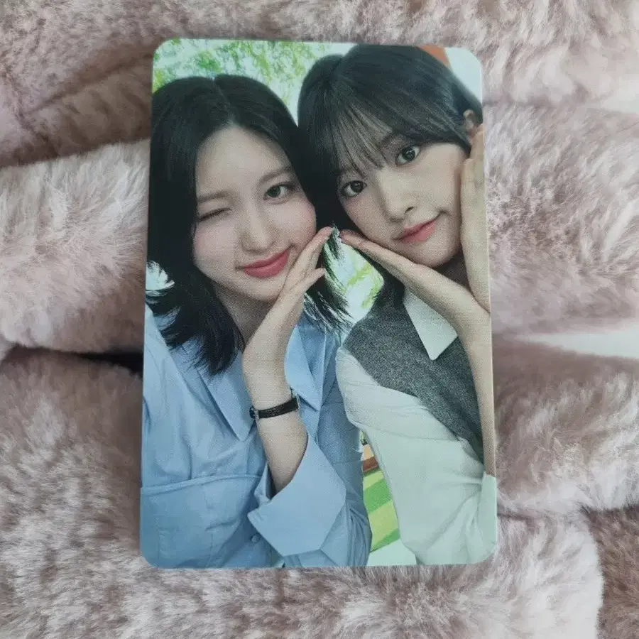 아이브 가을 유진 폴더즈 포카 판매!