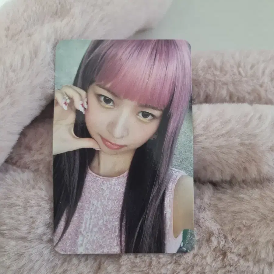 아이브 레이 포카!
