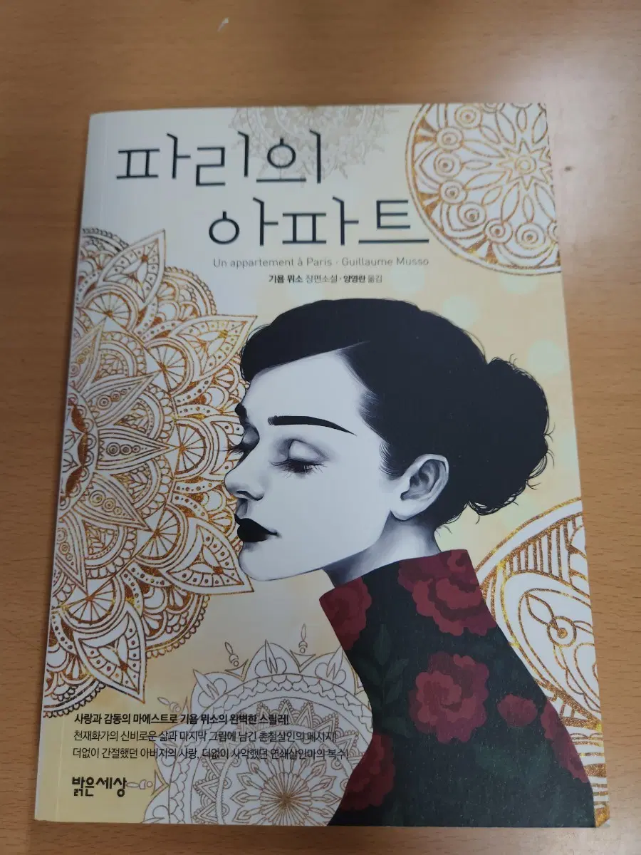 기욤 뮈소 파리의 아파트 소설