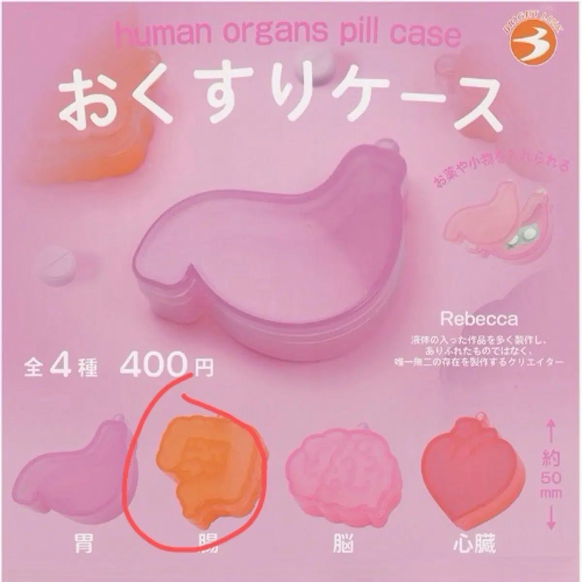 오스쿠리 케이스 장기 신장 약 통 창자