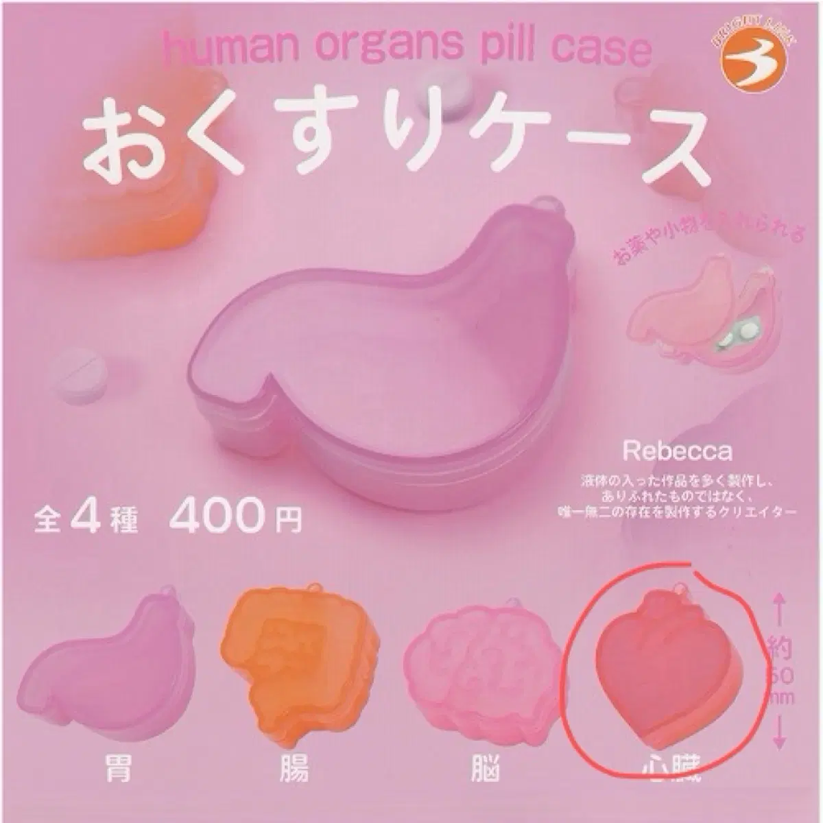 오스쿠리 케이스 장기 신장 약 통 심장