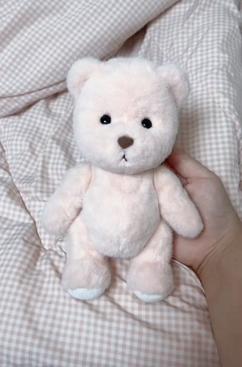 테디테일즈 레나베어 단모S 인형 저렴판매!!