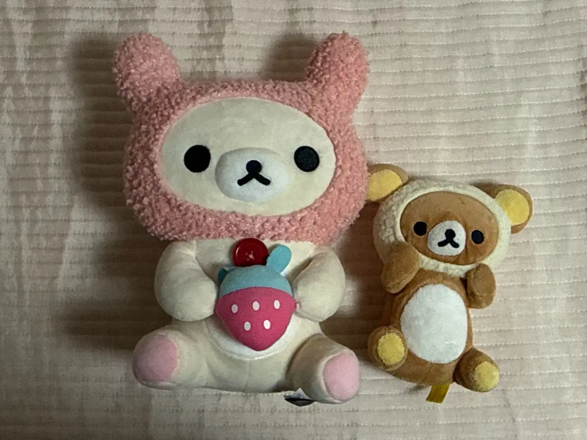 우사기 코리락쿠마