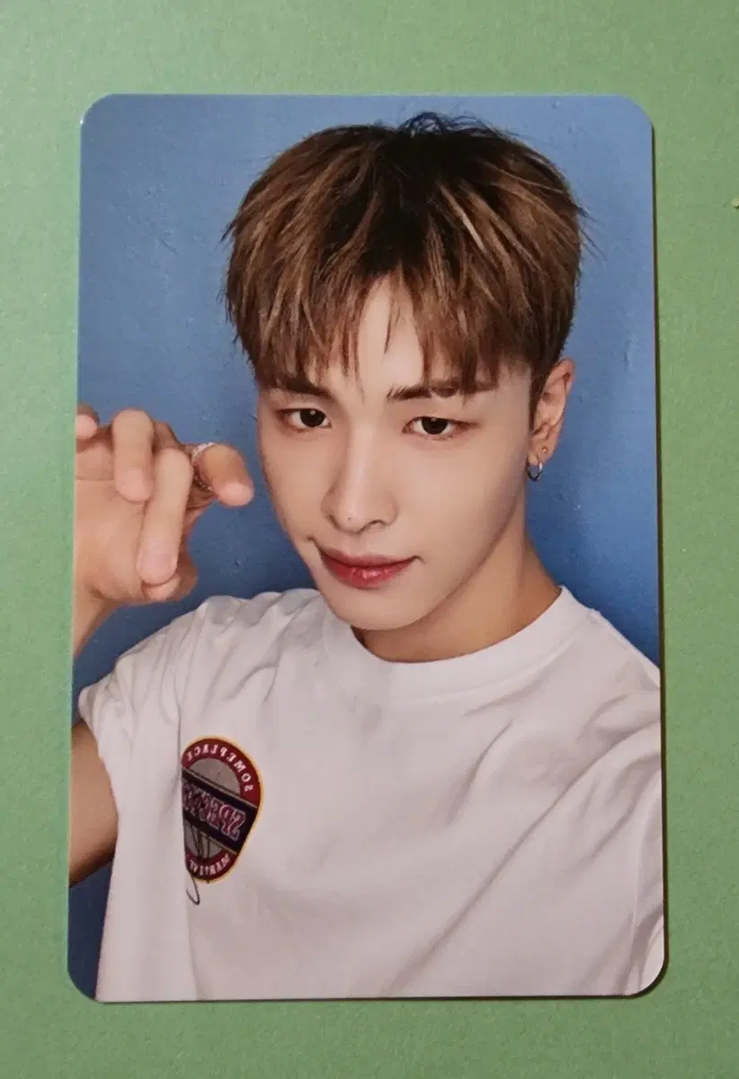 넥스지 하루 포카