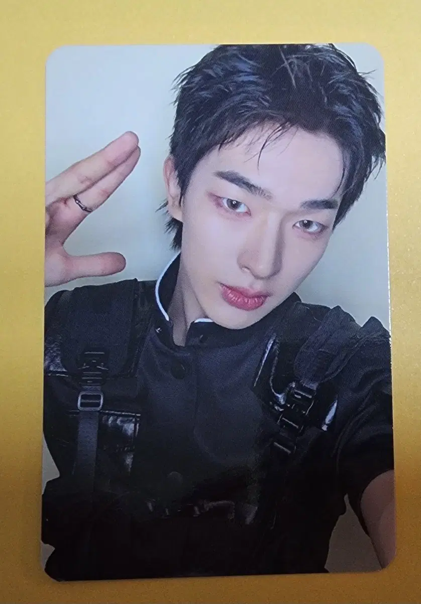넥스지 토모야 포카