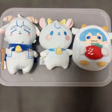 익명 배송 스토푸리 코론 코론군 코야기쨩 코야기장로