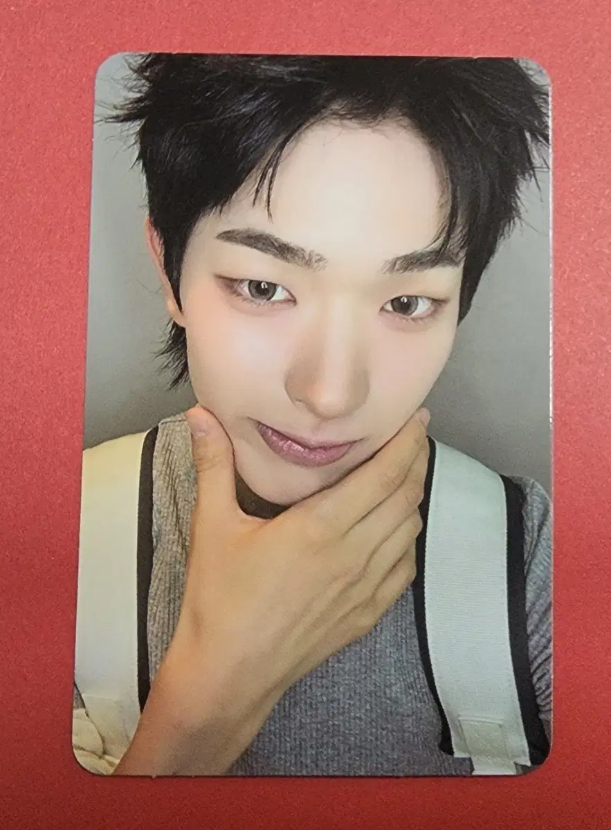 넥스지 토모야 공방 포카