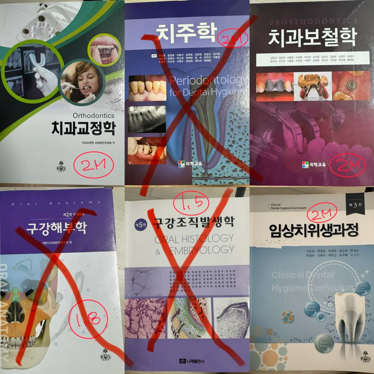 치위생 책
