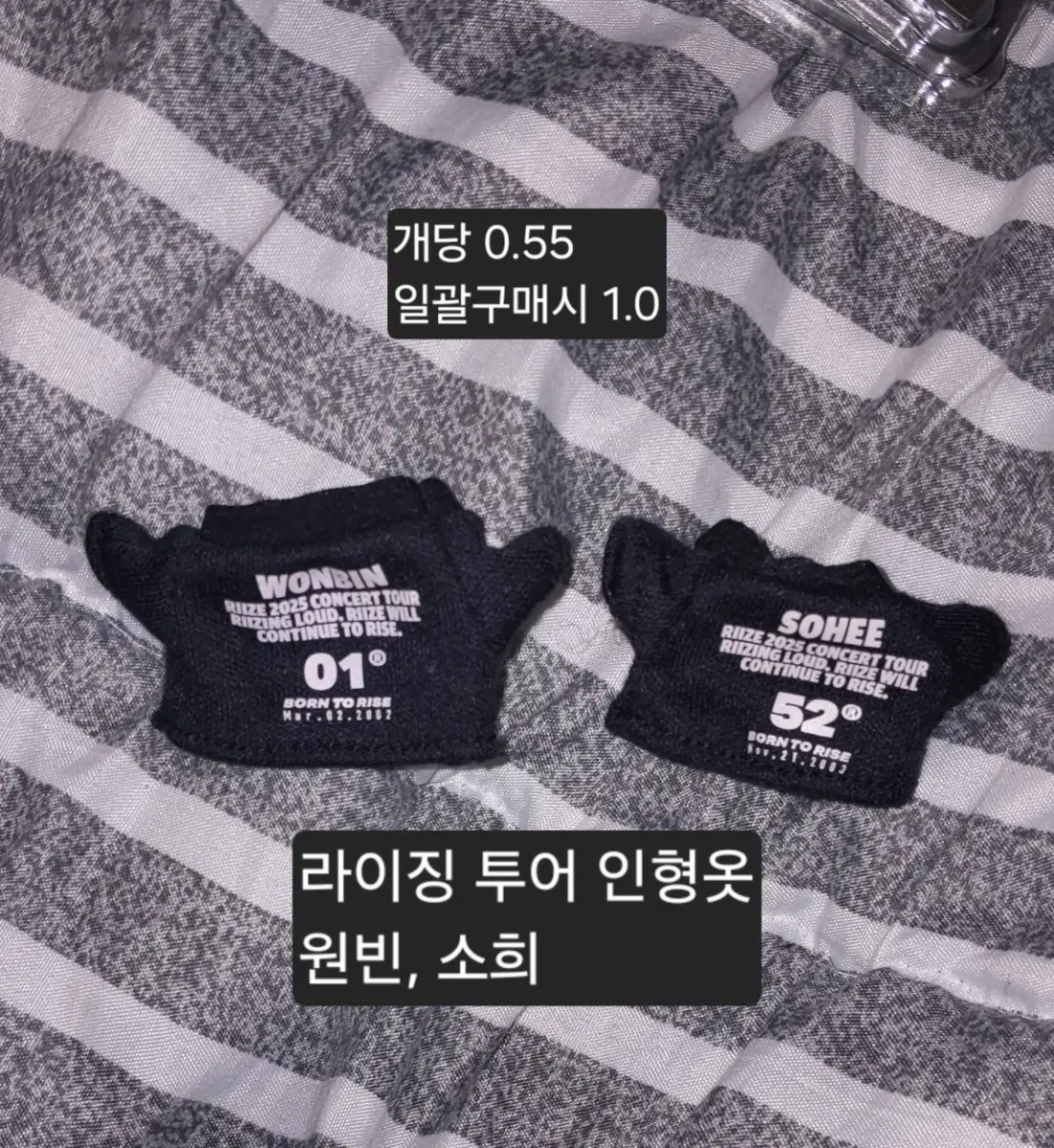라이징 투어 인형옷 (원빈), (소희)
