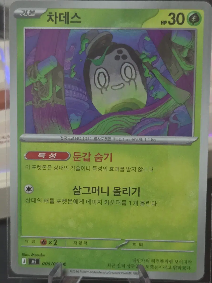 포켓몬카드 차데스