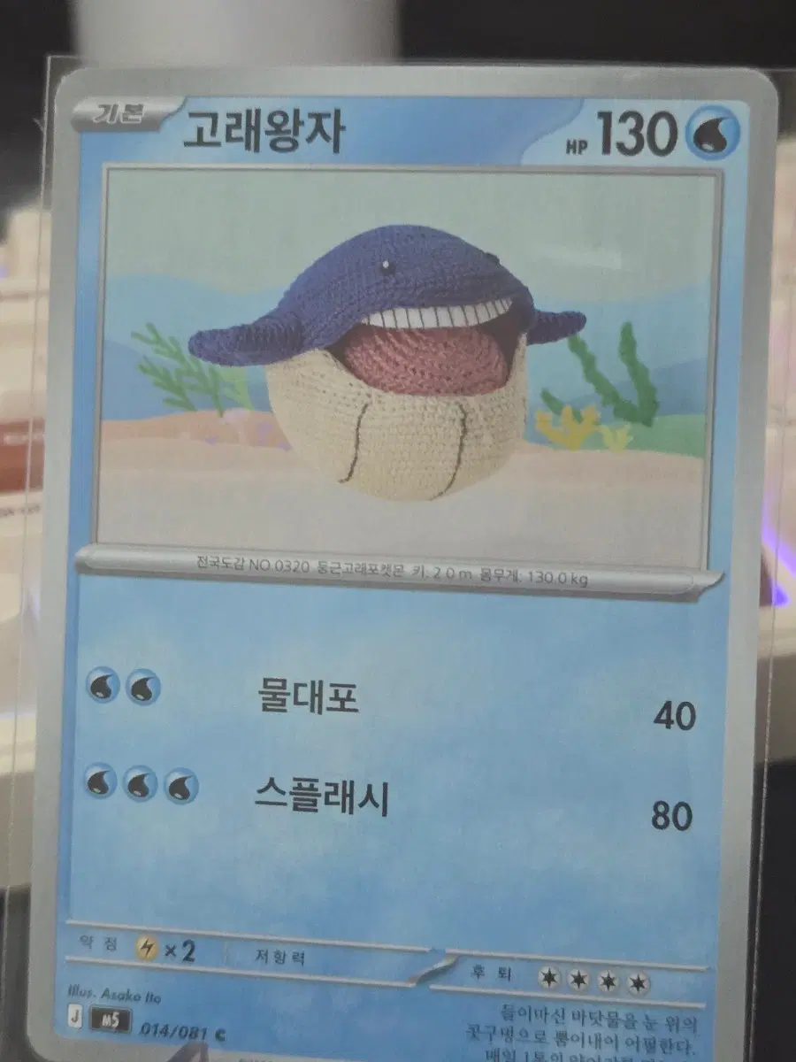 포켓몬 카드 고래왕자