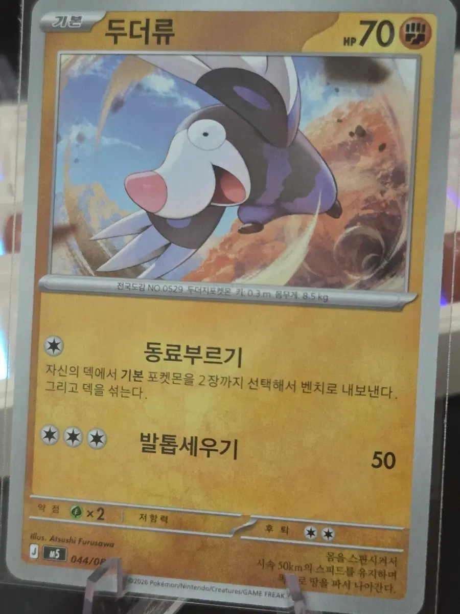 포켓몬카드 두더류