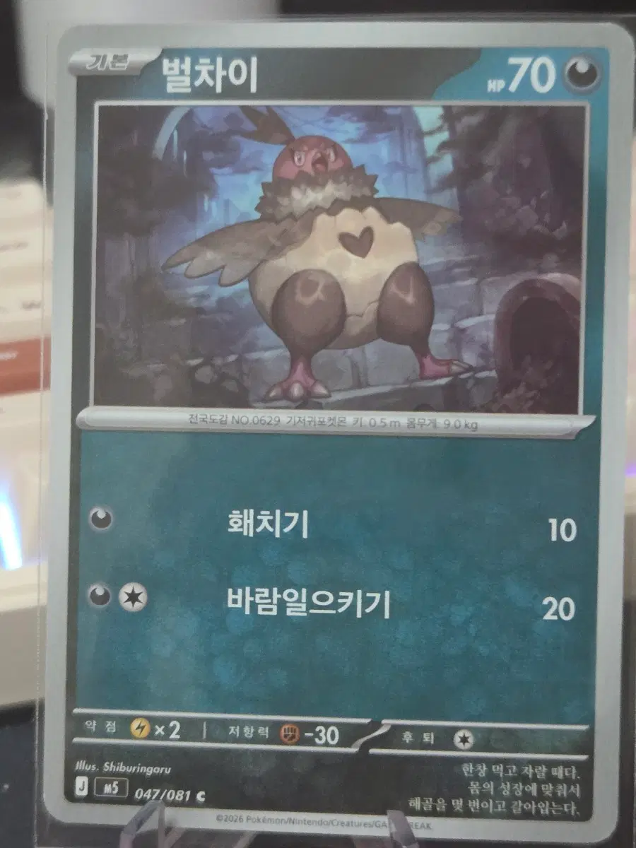 포켓몬 카드 벌차이