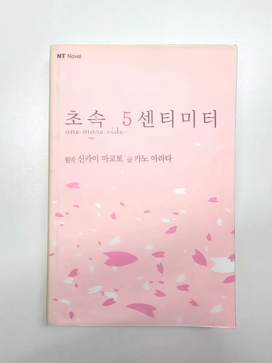 초속 5센티미터 one more side