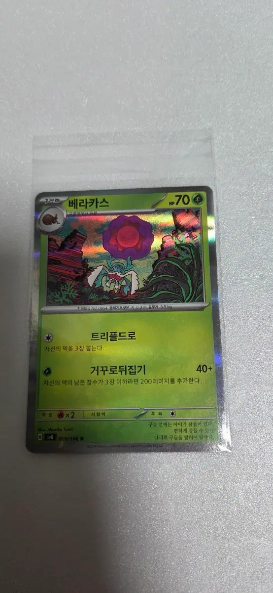 포켓몬카드 베라카스