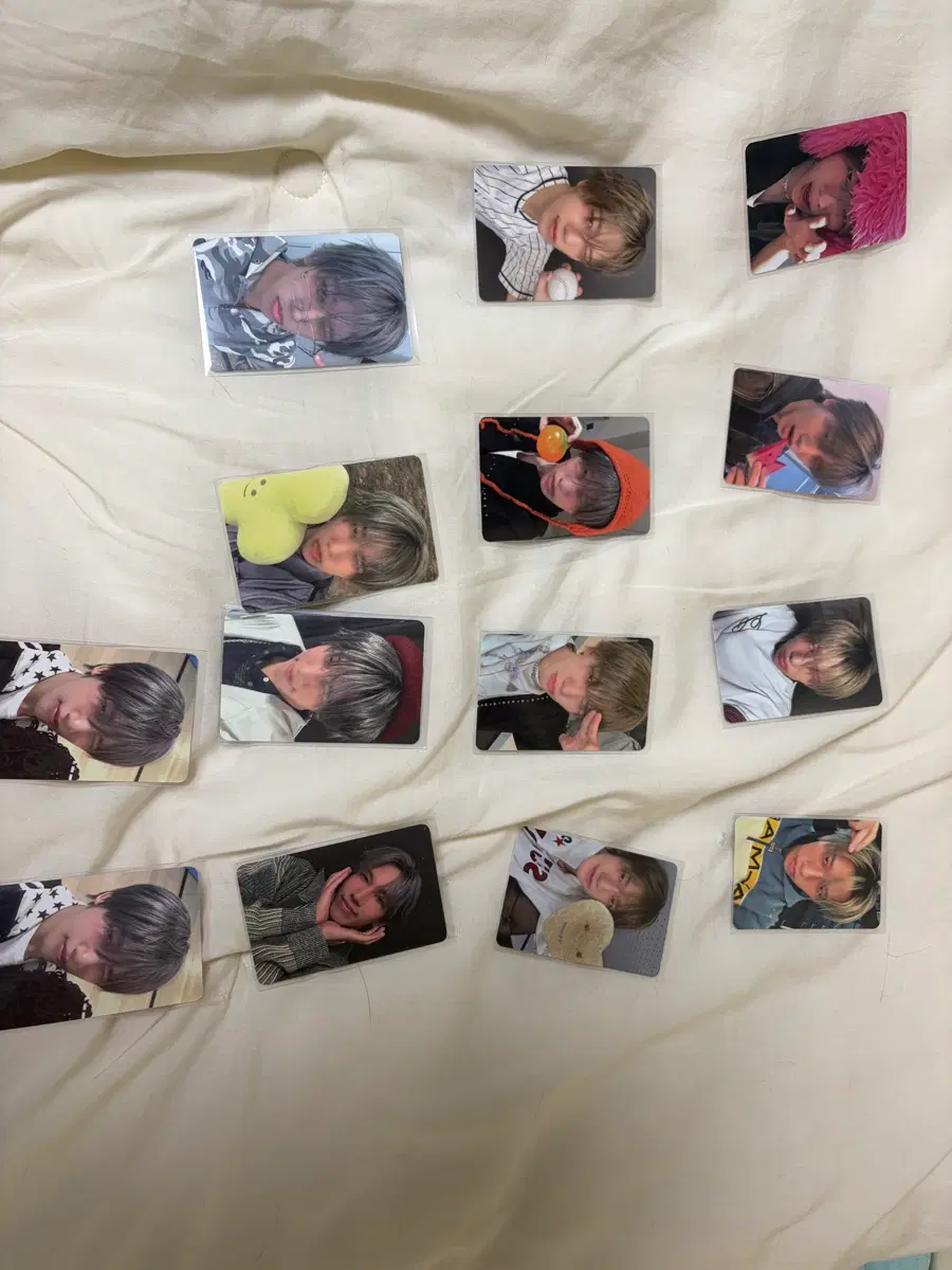 모디세이 리즈하오 포토카드 판매