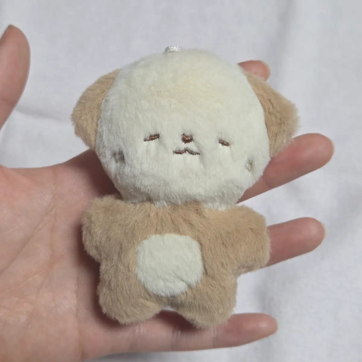 라이즈 쇼타로 10cm 인형 쇼다짱 양도합니다!