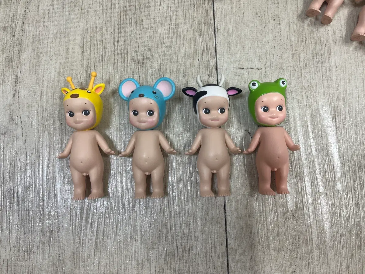 소니엔젤 동물