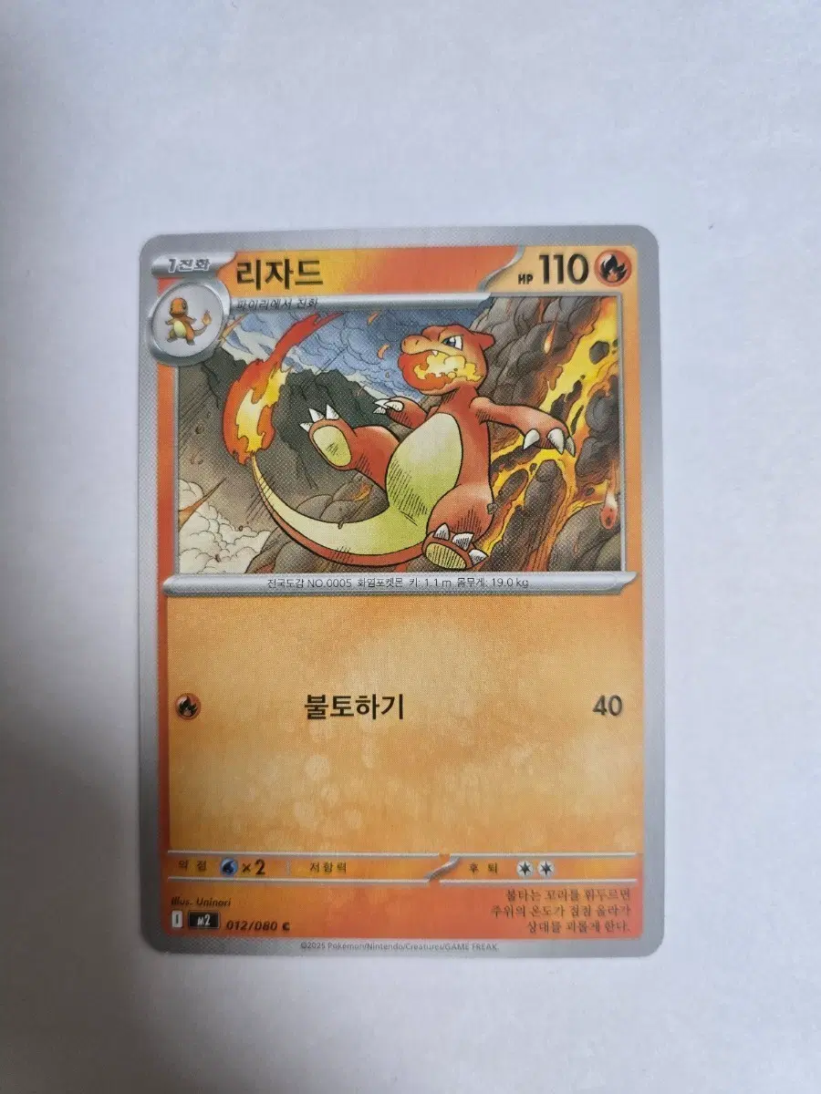 리자드 012/080 C M2
