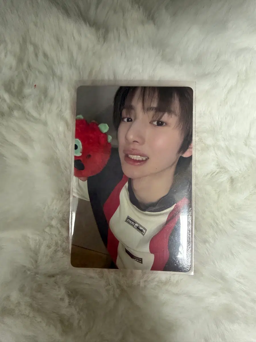 코르티스 주훈 포카 일괄양도