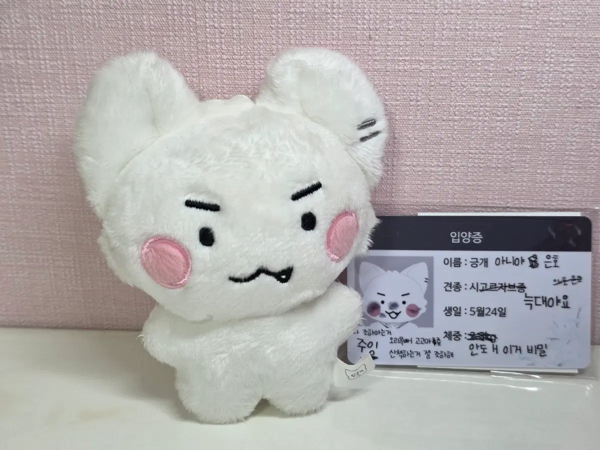 플레이브 은호 암긍개 비공식인형 굿즈